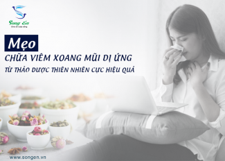 Mẹo chữa viêm xoang mũi dị ứng từ thảo dược thiên nhiên cực hiệu quả