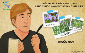23 bài thuốc chữa viêm xoang bằng thuốc nam có thể bạn chưa biết ( phần 2 )