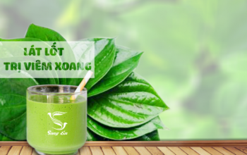 Chữa viêm xoang bằng lá lốt hiệu quả bạn cần lưu ý những điều sau ?